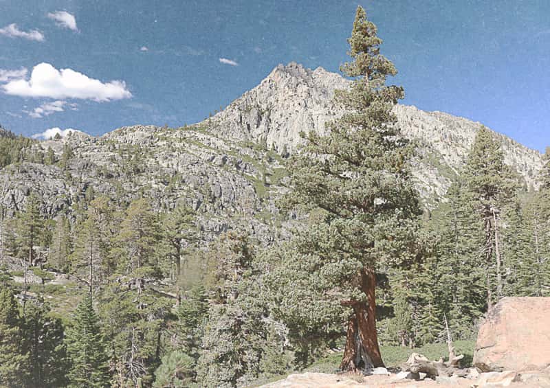 Film Photography